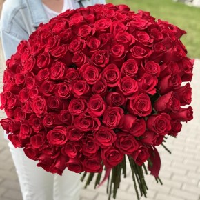 Букет из 151 красной розы.