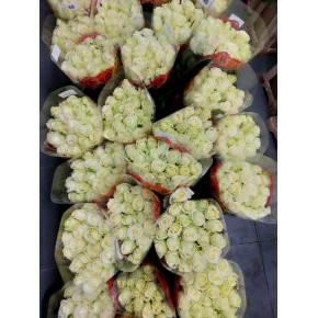 Букет из белых роз Оливия 21 шт. 80 см.